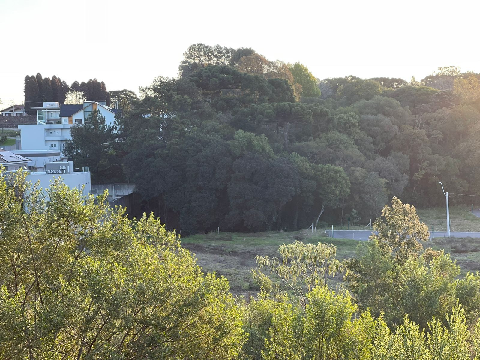 Terreno, 360 hectares - Foto 18